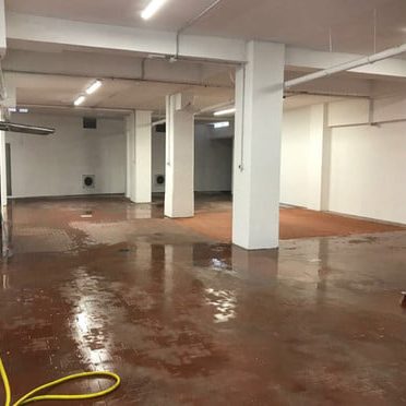 245056487_1300927437024991_4913427095000205379_n